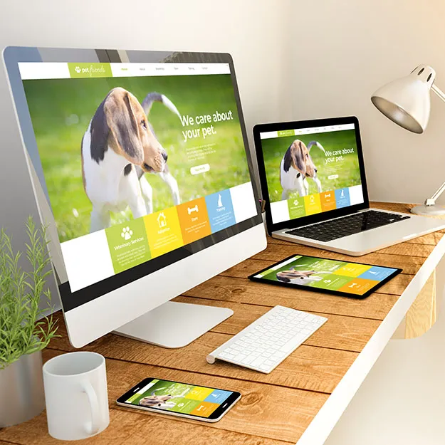 Hundetrainerin mit Laptop arbeitet an gepflegter Webseite